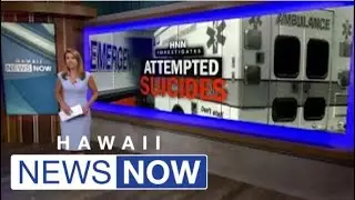 Honolulu reports alarming increase in suicide attempts, especially among youth
