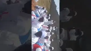 hamba vwangu mukanani