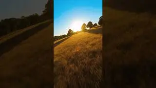 Golden hour in the English countryside ☀️🌾 #fpv #drone #sunset