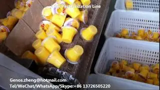 Cup Jelly/ Ice Lolly / Spout Pouch Pasteurization Line
