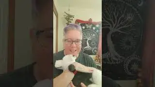 Sending Energy into a Stuffed Animal to aid in Grief Support