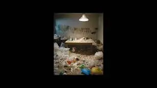 Your room might not look like this #environmentalissues #plasticfreefuture #environmentalpollution