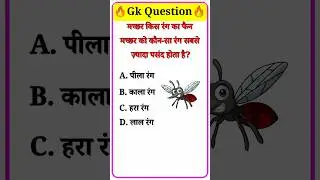 Machhar kis rang ka fan hai? 😱🦟 #gk #puzzle
