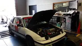 CRX D16a6 Dyno pull