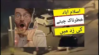 leopard attack in DHA islamabad