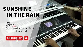 Sunshine in the rain - SAMPLE MLA - Sample YAMAHA hay nhất - MLA Team