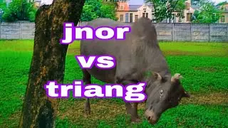 jnor vs triang ha sabah muswang iadaw rong masi last #iadaw #iatur masi