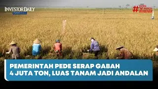 Pemerintah Pede Serap Gabah 4 Juta Ton, Luas Tanam Jadi Andalan - Investor Daily TV