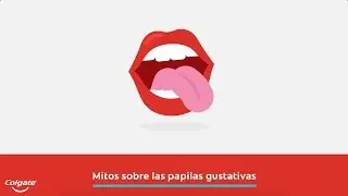 Mitos y hechos sobre sus papilas gustativas| Colgate&reg;