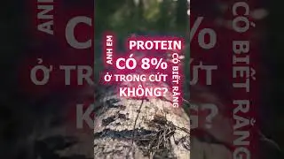 MB3R ăn cut hopecore