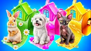 Constru&iacute;mos uma Sala Secreta para Animais de Estima&ccedil;&atilde;o em um Desafio Colorido!