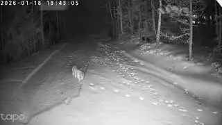 Kaverit kylässä