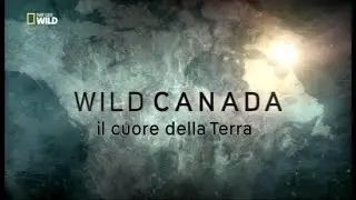 Wild Canada 03. il cuore della Terra  