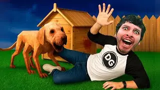 ADOPT&Eacute; UN PERRO Y SE CONVIRTI&Oacute; EN MONSTRUO !!