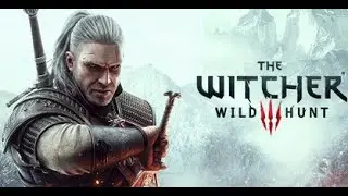 Witcher 3 wild Hunt p43
