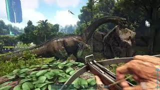 ARK: Survival Evolved Taming My First Bronto With No Cage