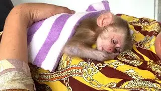 Comforting!! Mom hugs and puts her adorable baby  LIORA to sleep next to her after feeds Milk