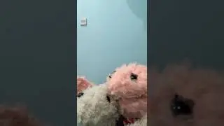 ✨ siblings ✨##brother##sister##sibling##cute##dance##annoying##subscribe