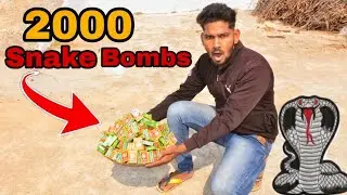 यह तो सोचा नहीं था 😱🐍||2000 Snake Bombs Testing 🐍||इतना बड़ा साप बन गया 😱🐍💥Diwali exprement