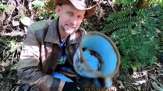 Explora&ccedil;&atilde;o nas RU&Iacute;NAS - muitas rel&iacute;quias encontrada [Ginho da Selva]