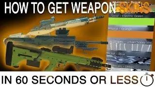 Tom Clancys: The Division | How to get Weapon Skins | in 60 Seconds or Less