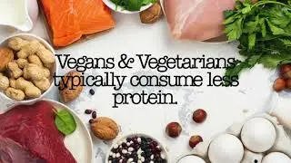16 Facts About Protein Intake