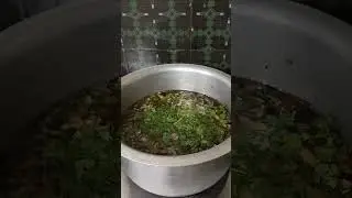 Biryani Rice #shorts #ytshorts #biryani #biryanirice #food