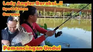 Pemancingan Undui Rawakalong Terbaru || Lady Angler Mancing Ikan Mas di Spot Gurame