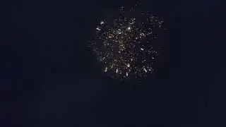 2025年8月撮影②