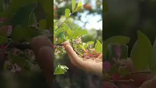 #beautifulnaturescenes