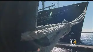 What May Have Caused Cargo Ship To Drift Out To Sea
