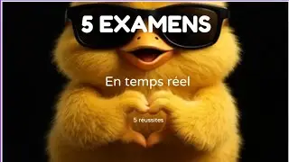 Les 5 derniers examens pratiques de Braine-le-Comte. 