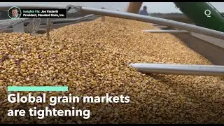Global Grain Markets Brace for a Tightening