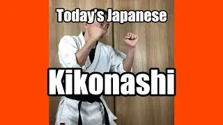 Today's Japanese: Kikonashi=dressing (well) / Check out Dougi_Man's fashion!