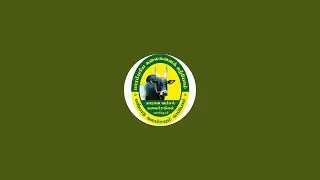 ஆவலப்பம்பட்டி மாரியம்மன் கோவில் திருவிழாவில் காராளவம்சம் கலைச்சங்கம்