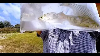 Let's Stock Our New Pond & Do Some Spring Fishing