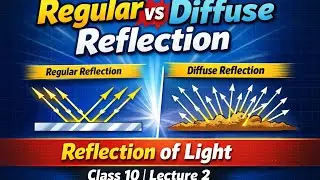 Regular vs Diffuse Reflection | Reflection of Light Class 10 | Lecture 2