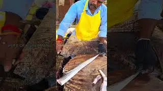 KASIMEDU🔥CHEETAHDURAI RIBBON FISH CUTTING VIDEO#speedselvamcutting #kasimeduspeedselvam #ytshorts
