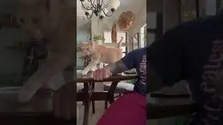Range of Motion Testing