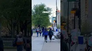 Chicago City Street View #illinois #usa #windycity #travelusa78