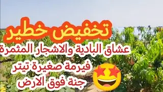 🛑عاجل تخفيض ممتاز🛑لعشاق البادية هده الهمزة ديالكم 👌