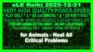 xLE Reiki | for Animals - Heal All Critical Problems