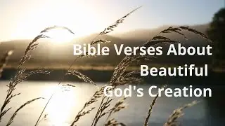Bible Verses About God's Beautiful Creation | Hope From God
