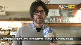 LADRI IN AZIONE A CARGNACCO E CODROIPO: RUBATO DENARO CONTANTE E UNA CASSAFORTE  | 19/11/2025