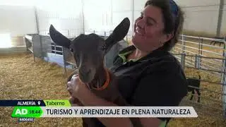 Ganadero por un dia en Taberno - Ingrid