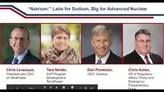 Webinar &ndash; Natrium: Latin for Sodium, Big for Advanced Nuclear