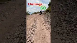 Challenge from Word GO #dangerous #track #sharan #forest #inazuma