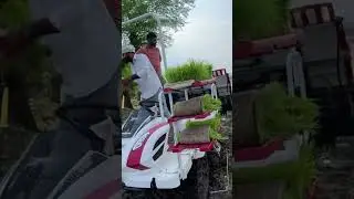#paddy planting#loading tray of narssary#