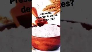 Comment Pr&eacute;server la Farine des Insectes?