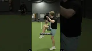 How to Train Command 🎯